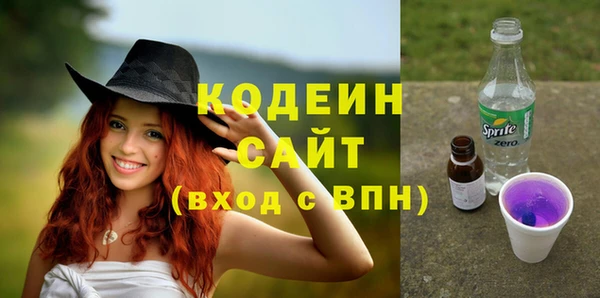 спиды Богородицк