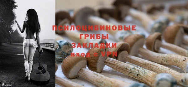 скорость Богданович