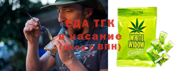 спиды Богородицк