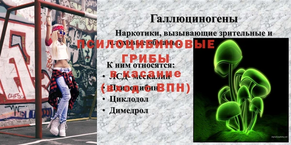 прущая мука Богородск