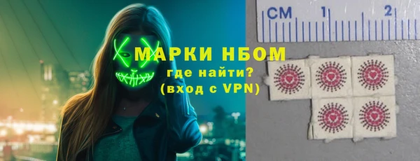 спиды Богородицк