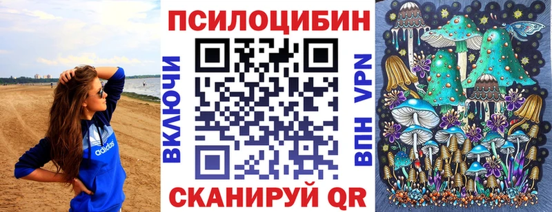 Псилоцибиновые грибы Psilocybe  цены наркотик  Вельск 
